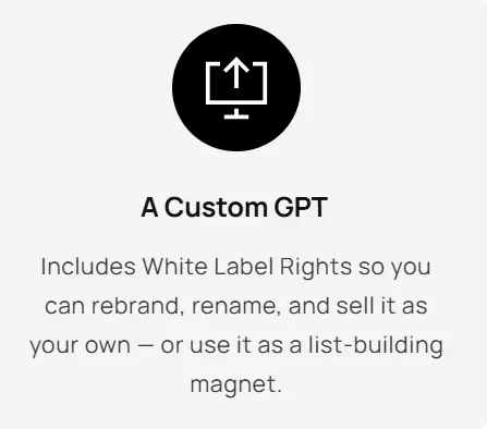 A Custom GPT 